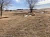 24904 Country Oak Loop photo